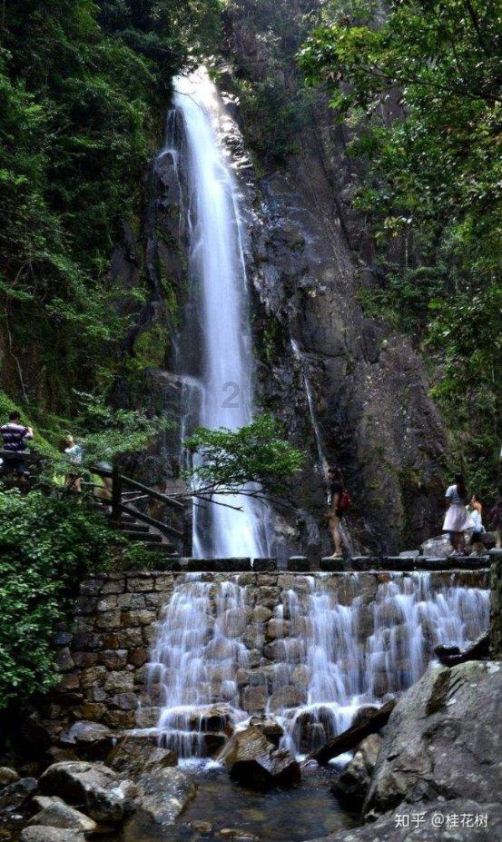 大山羔羊逃生