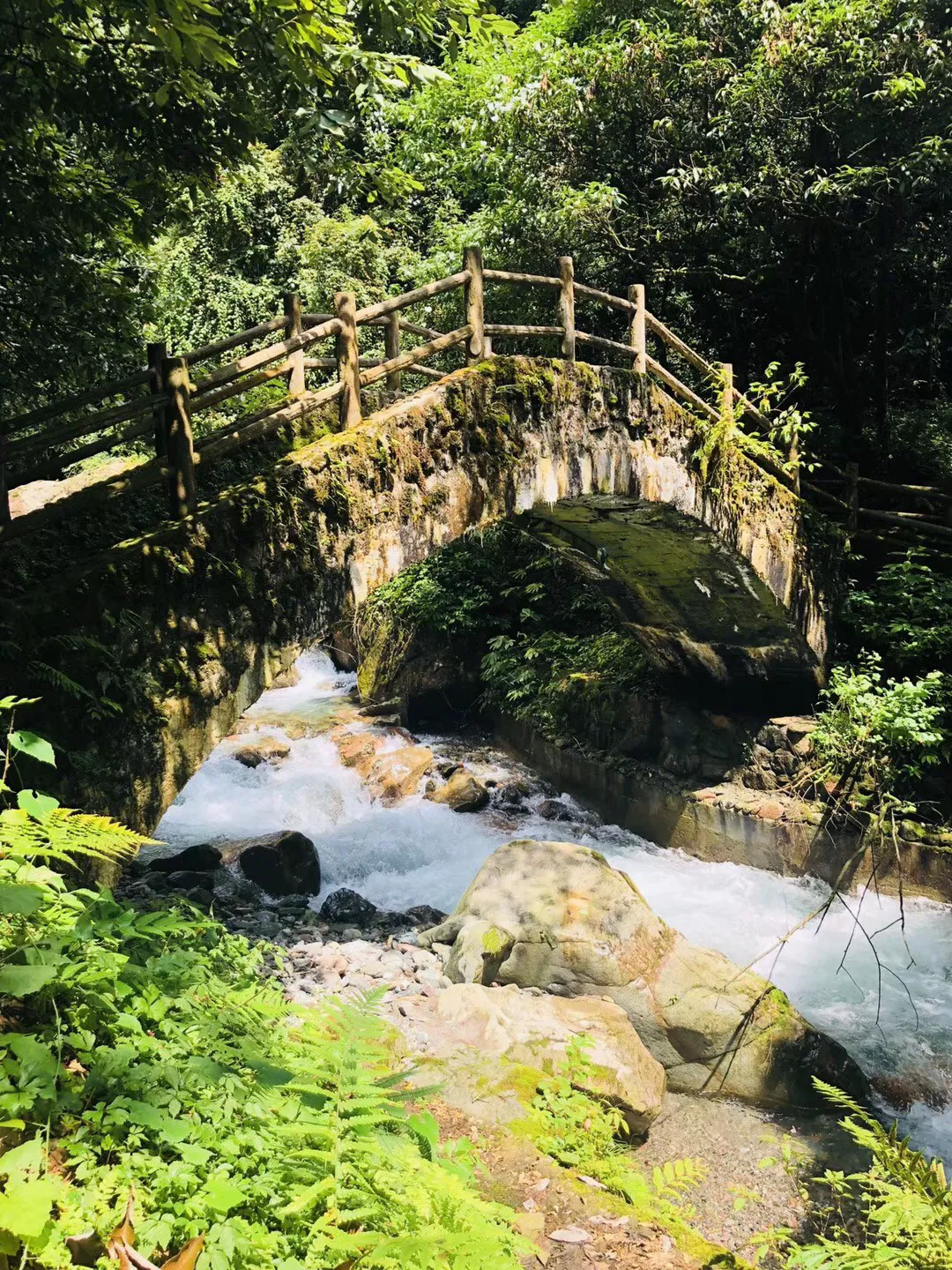 逃离废弃高校
