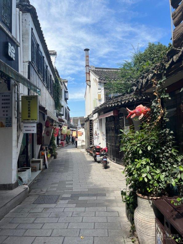 旅途/风之旅人