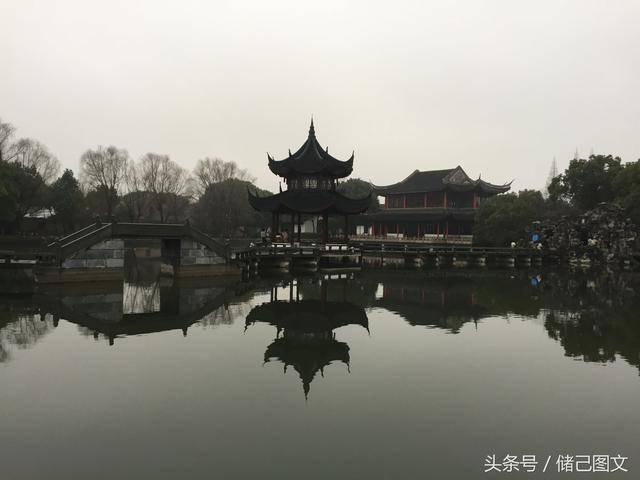 还以为猫妈生下孩子就会消停,结果猫爸望着几个孩子成了个怨妇!